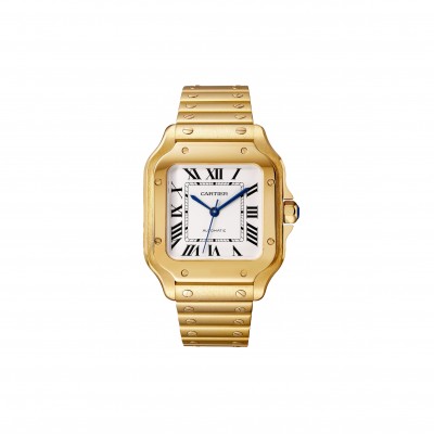 CARTIER SANTOS DE WATCH WGSA0030